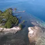 "Broke" Francis Ford Coppola Sells One Of His Belize Island Retreats to Stem $100+ Million "Megalopolis" Loss