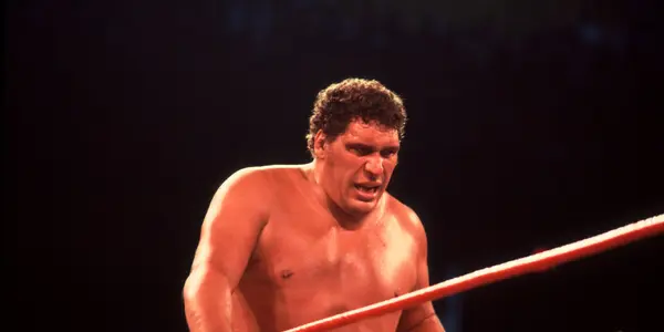 Andre the Giant